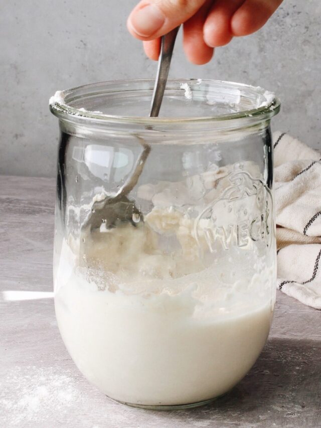 stirring of flour and water on day 3 of sourdough starter