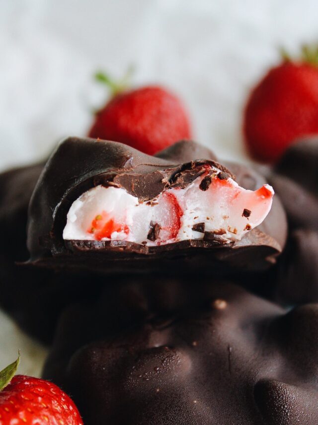 CHOCOLATE COVERED YOGURT BITES