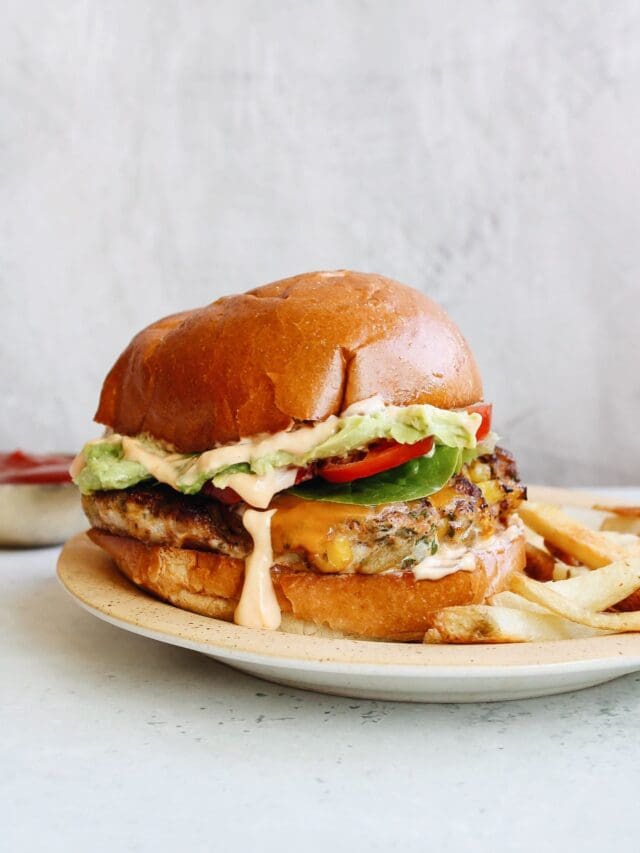 southwest chicken burger on a plate with french fries