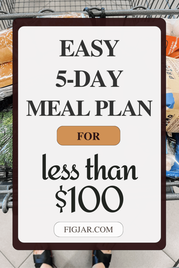 easy 5 day meal plan for under $100 from Aldi